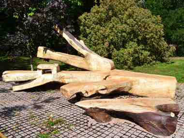 Lime Tree Sculpture